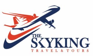 sky king logo-navy